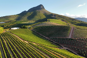 Winelands